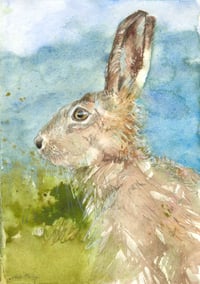 I Happened upon a Hare