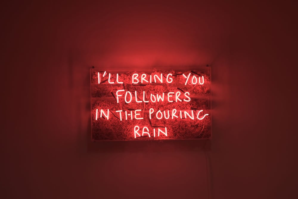 Image of I'll bring you flowers/followers in the pouring rain 