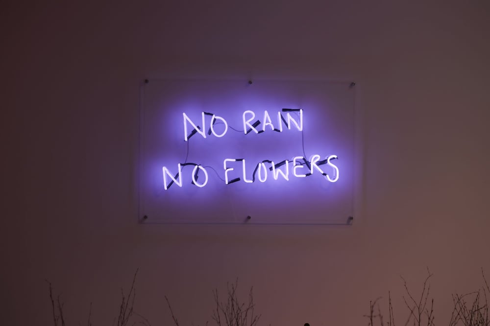 Image of No Rain No flowers