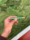 LITTLE GREEN PENCIL 