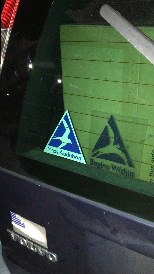BEGINS WITHIN car decal 