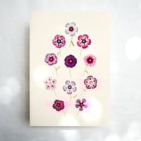 Image 1 of Pink Oxalis