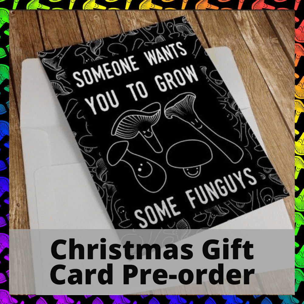 Image of A Some Funguys Christmas Gift  pre-order Early Bird