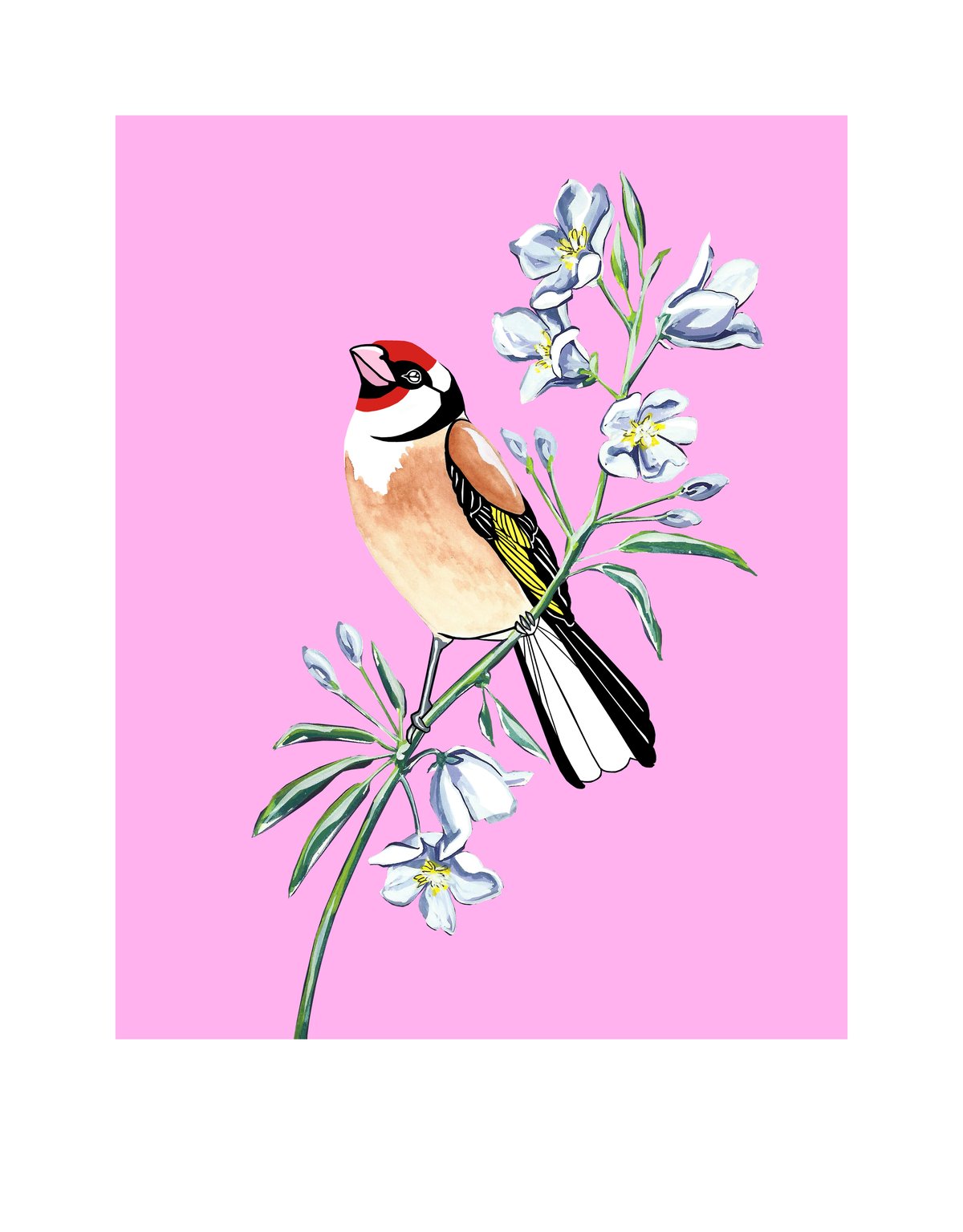 Image of Stamps: Goldfinch and Bellflower