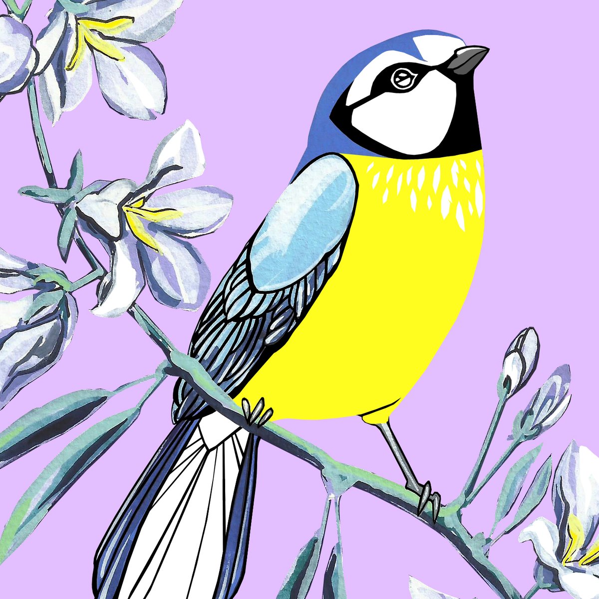 Image of Blue Tit and Bellflower (print)