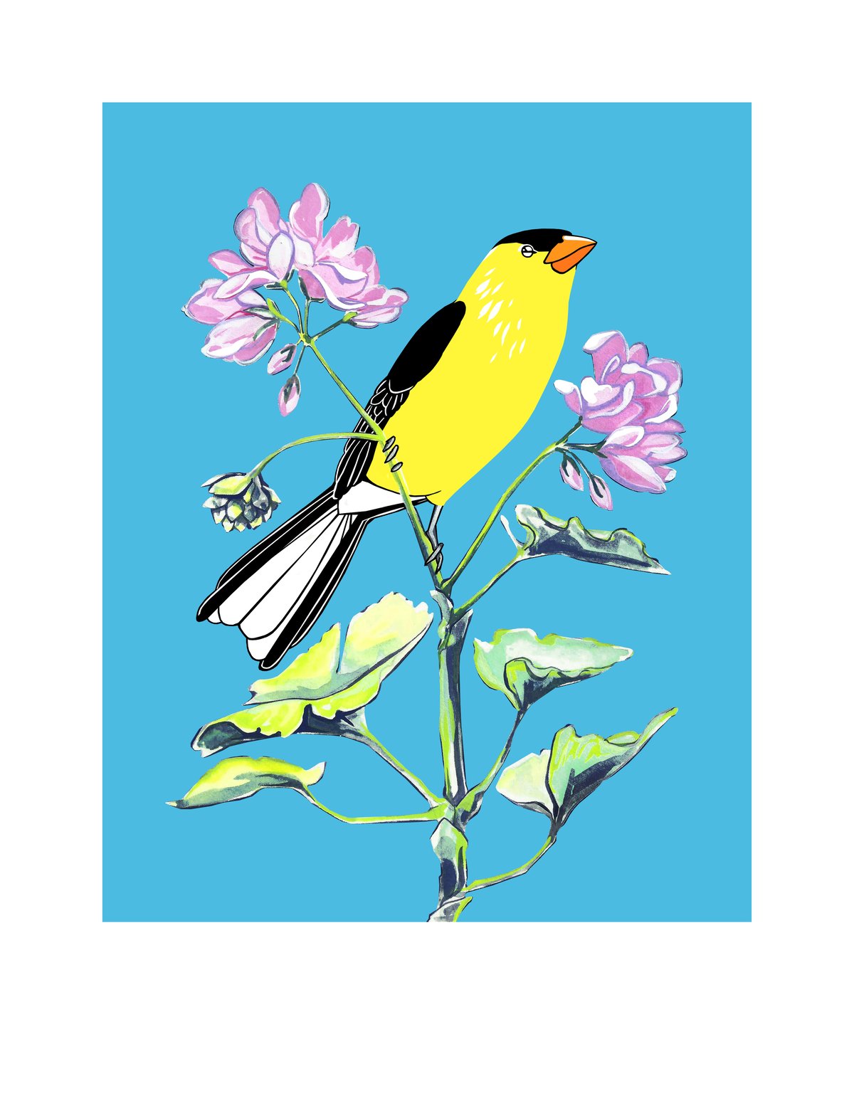 Image of American Goldfinch and Geranium (print)