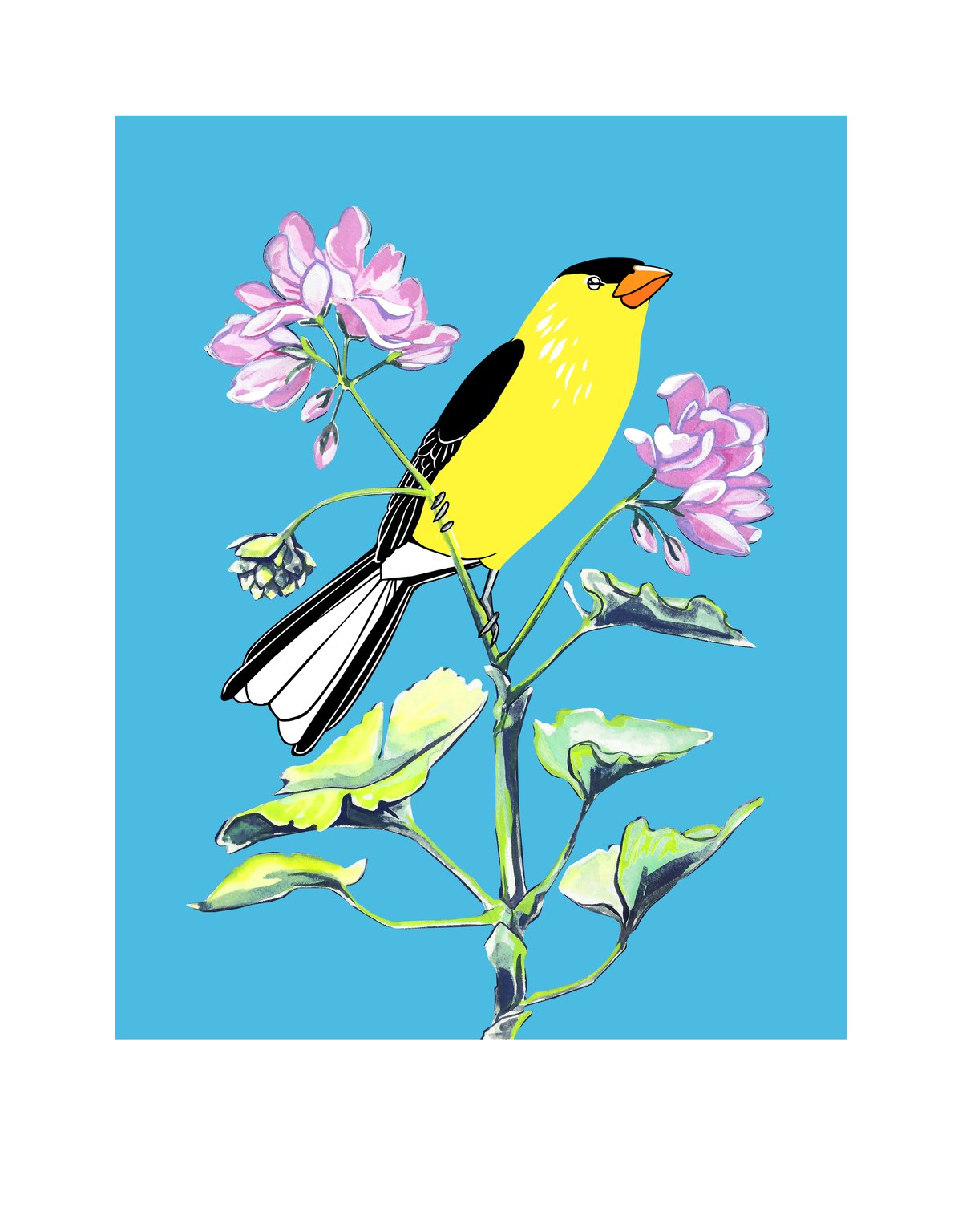 Image of Stamps: American Goldfinch and Geranium