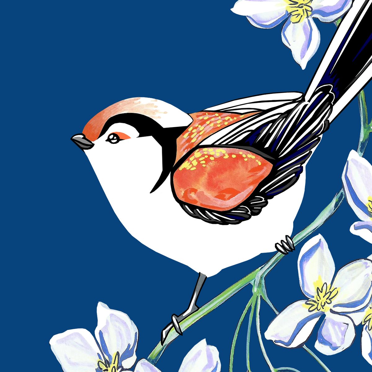 Image of Stamps: Long Tailed Tit and Clematis