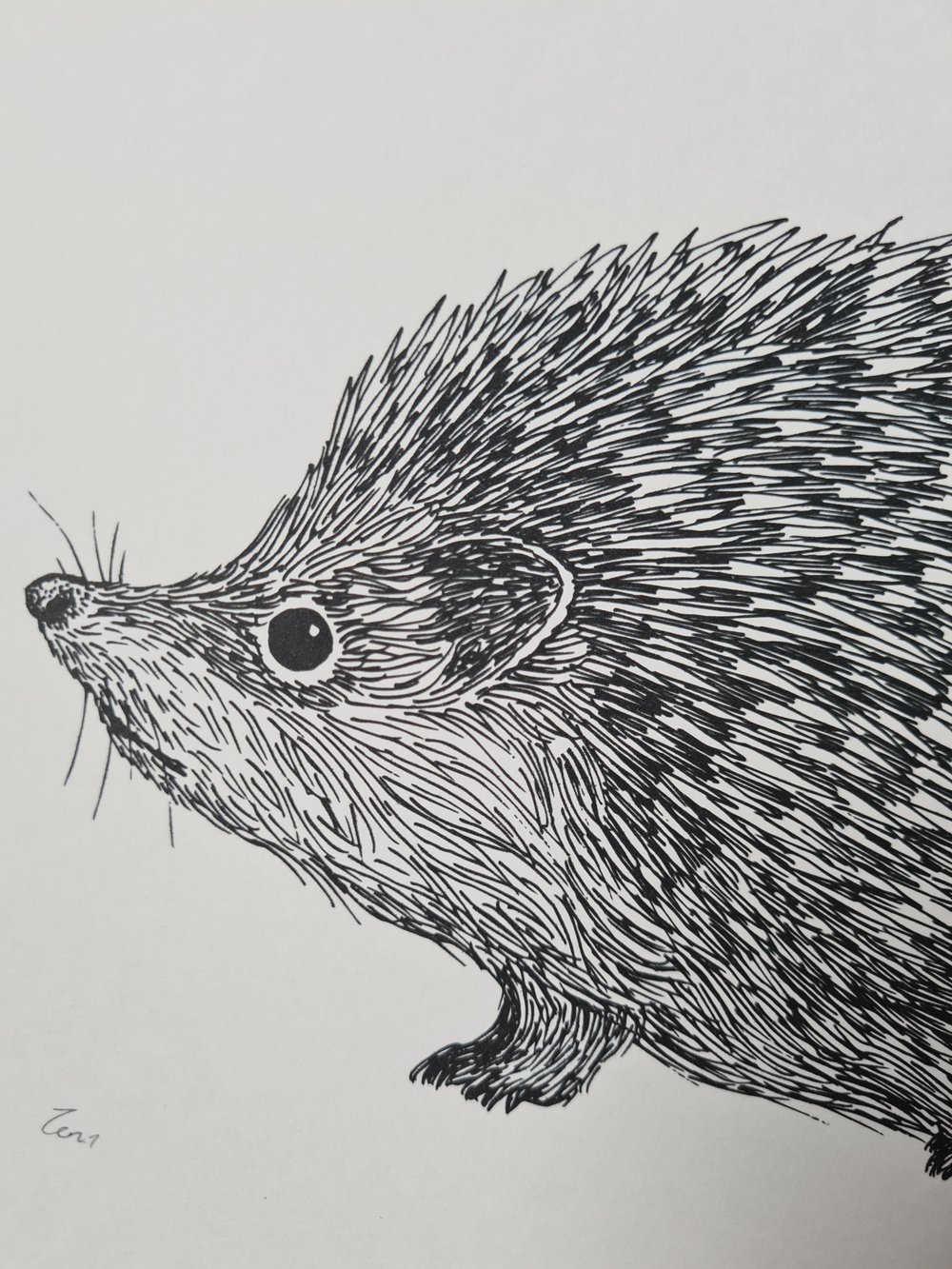 Print: Hedgehog