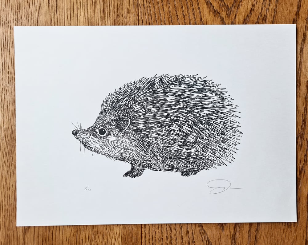 Print: Hedgehog