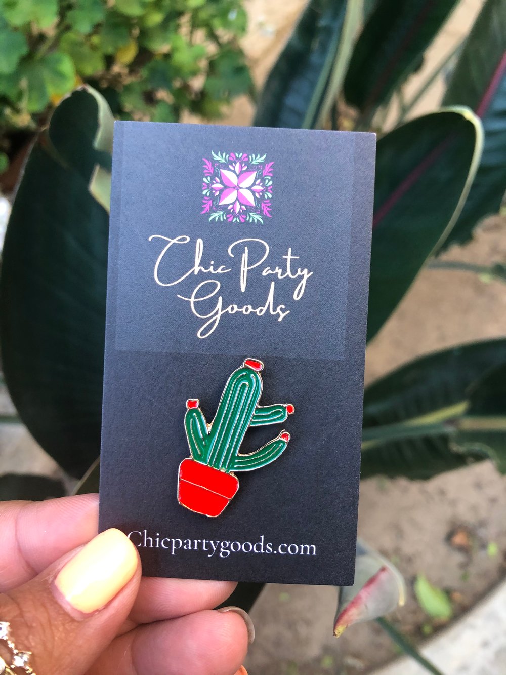 Image of Cactus Pin Red Pot 