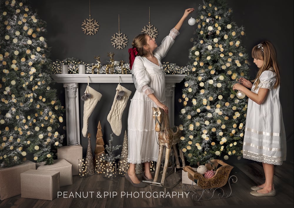 Image of Fireplace/Bed Set Holiday Sessions