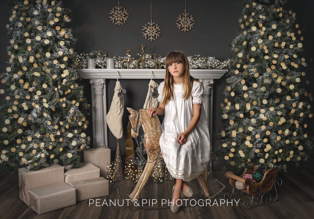 Image of Fireplace/Bed Set Holiday Sessions