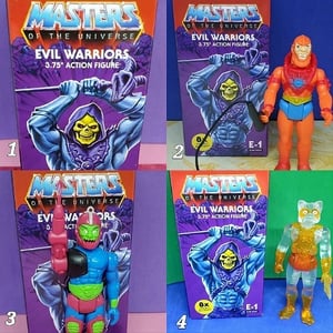 MOTU / EVIL WARRIORS