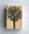 Madera 9