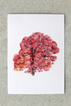 Árbol 4