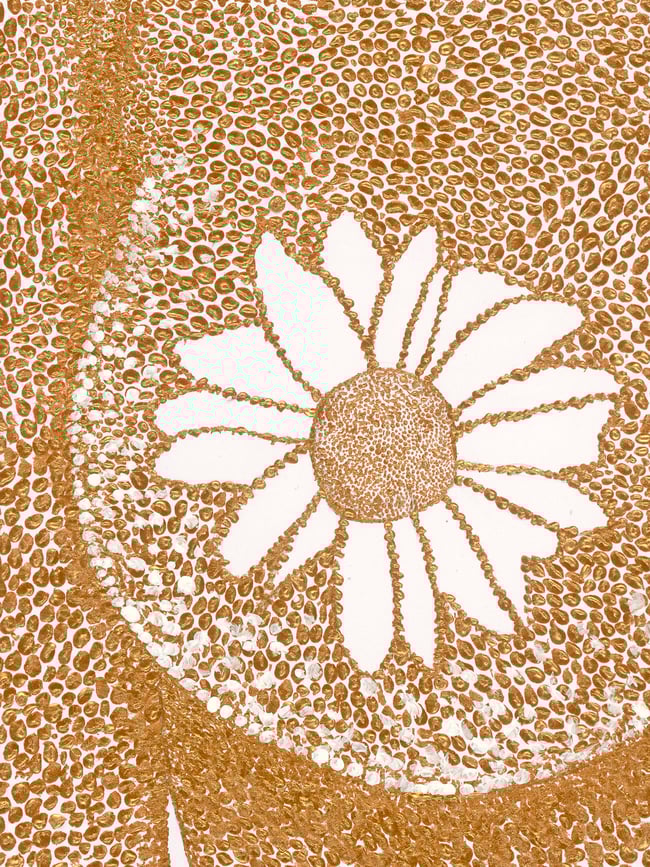 You are Gold - Fine Art Print