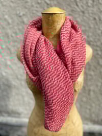 Image 2 of Poncho Raspberry 