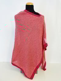 Image 1 of Poncho Raspberry 