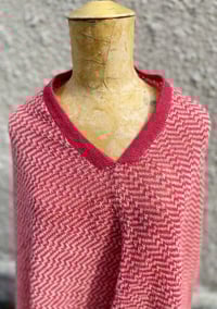 Image 4 of Poncho Raspberry 