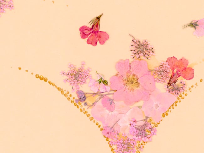 Golden Pussy - Fine Art Print