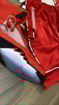 Image 2 of Red Astro set