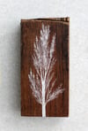 Madera 6