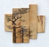 Madera 2