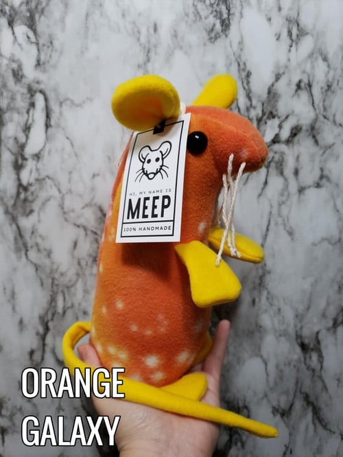 Image of MEEP !
