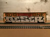 GESER- SOO Line 