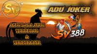 Agen Sv388 Laga Ayam Online Terbesar Indonesia - AduJoker303
