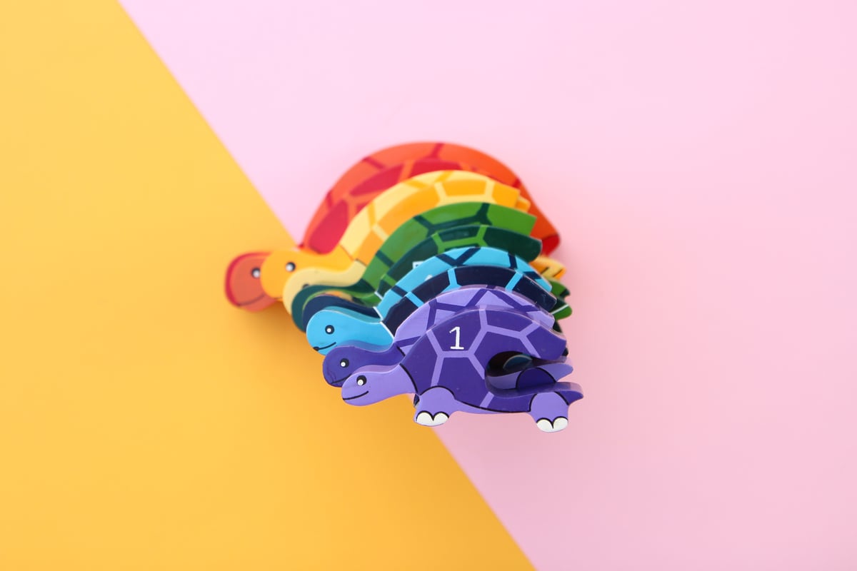 Image of Turtle Row 1-10