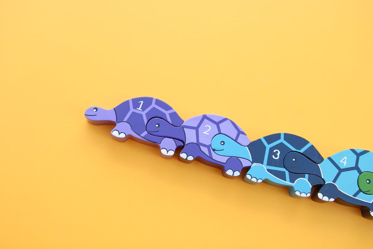 Image of Turtle Row 1-10