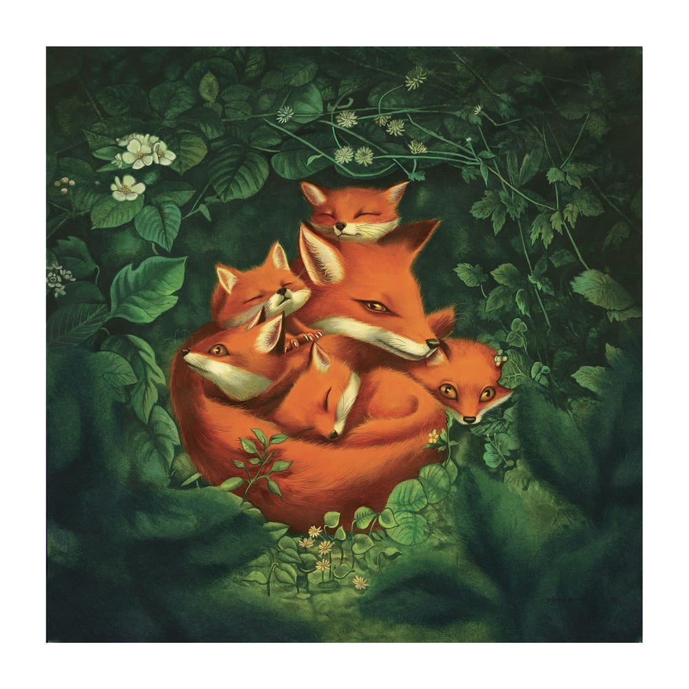 Image of Mother Fox