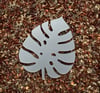 monstera