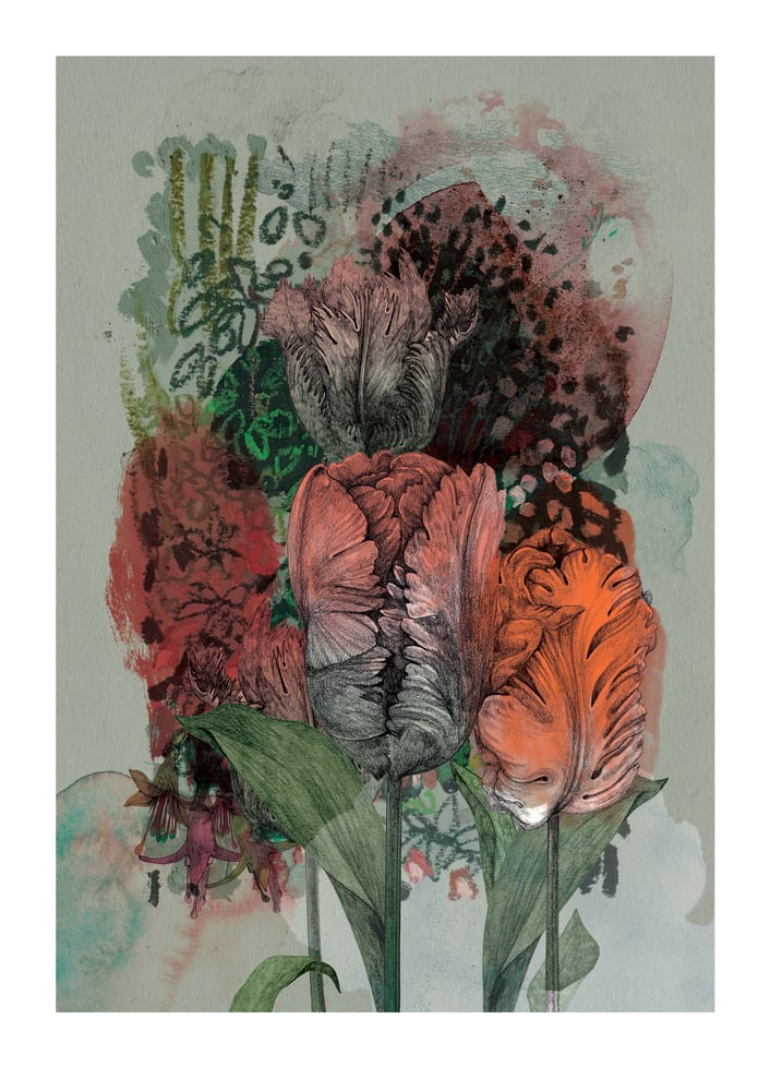 Image of Garden Journal - Parrot Tulips