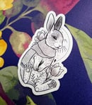 Image 2 of Magnet Cosy rabbit