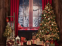 Image 1 of Studio Christmas Minis 2021