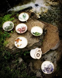 Image 1 of Ushpizin Candles 