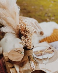 a wondery picnic set up