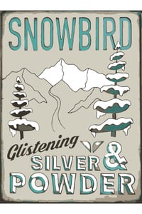 Glistening Snowbird