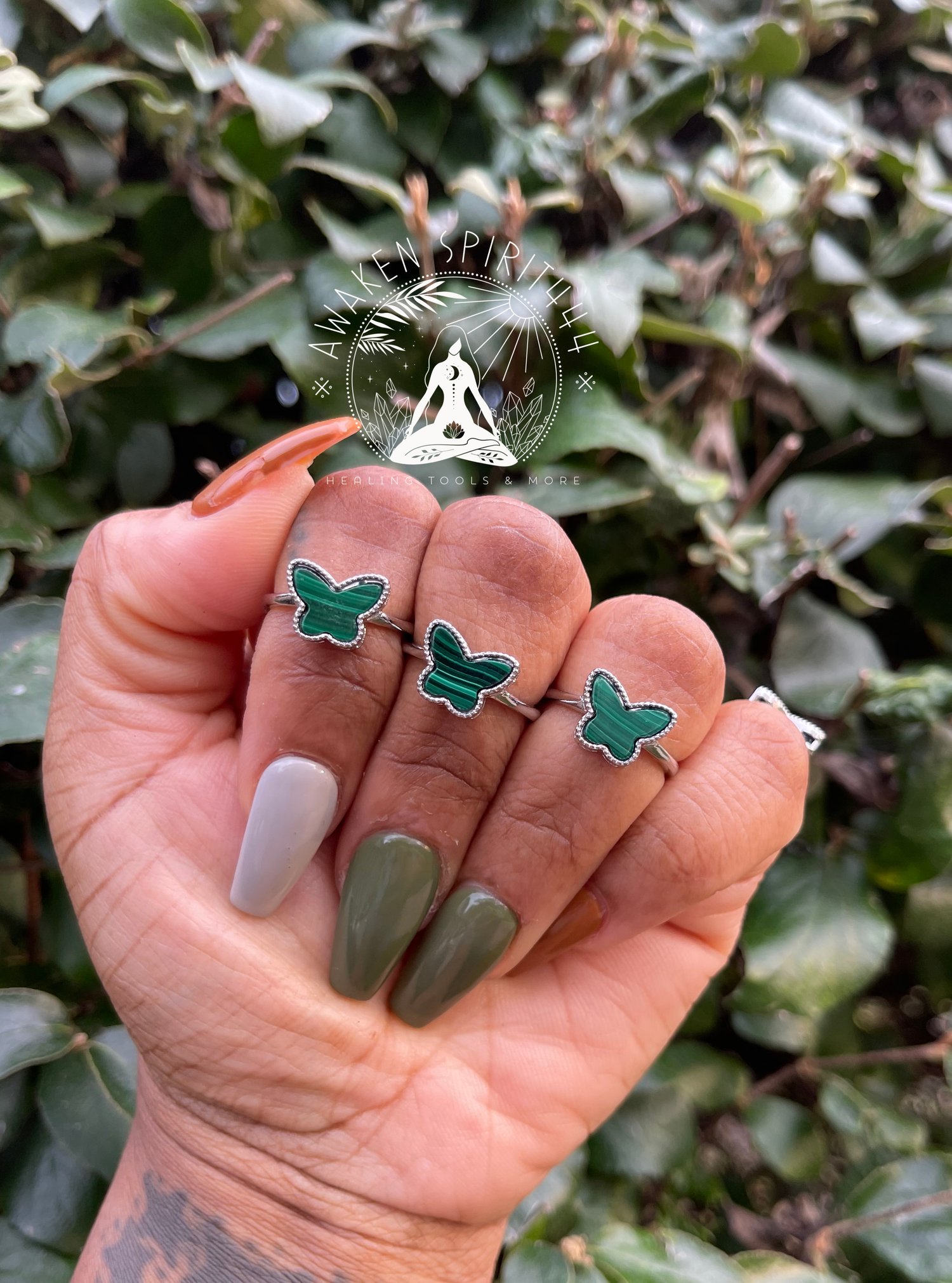 Image of Malachite butterfly (rings)