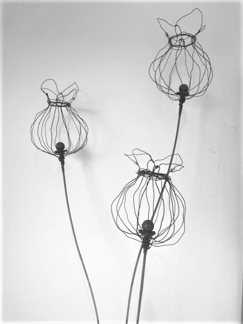 Tall triple poppy seed plant stake