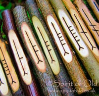 Image 1 of Tree Speak Ogham Staves 