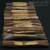 Image 3 of Tree Speak Ogham Staves 