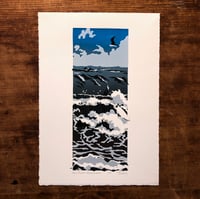 Image 3 of Wave Project, Dolphin Dive