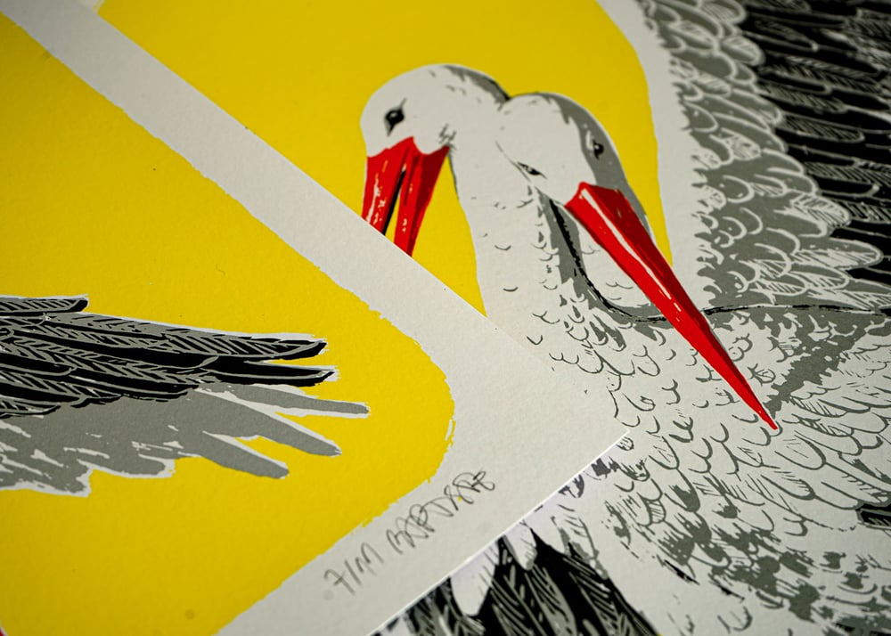 Image of Two storks (yellow)