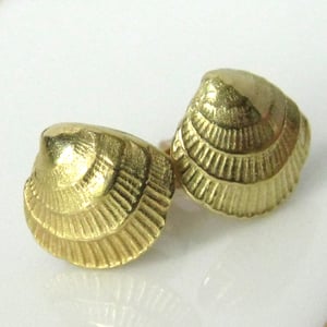 Image of Cross Barred Venus 18k Gold Seashell Earrings