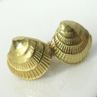 Image 1 of Cross Barred Venus 18k Gold Seashell Earrings