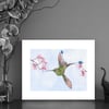 Print of a Racket tail Hummingbird with free Art Card